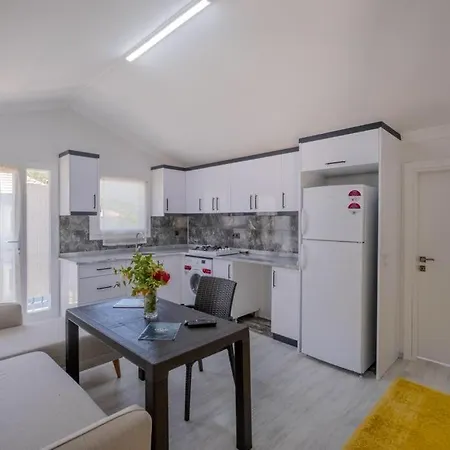 Captivating Flat Close To Inlice Beach With Terrace In Fethiye *